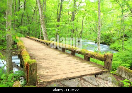 Holzbrücke über den Bach Oirase, Aomori, Japan Stockfoto