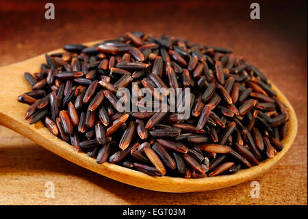 Reis-Beere in Holzlöffel Stockfoto