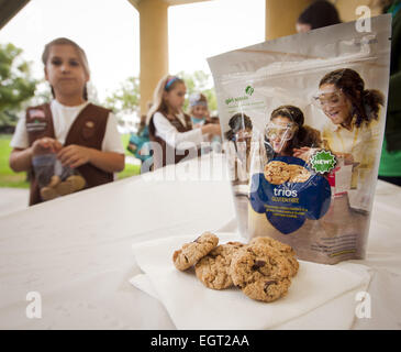 Irvine, Kalifornien, USA. 10. Januar 2015. Etwa 1500 Orange County Girl Scouts, im Alter von 5 bis 18 Jahren, versammelten sich an der Bren Event Center am Samstag das diesjährige Linie der Girl Scout Cookies Vorschau. Neues Girl Scouts lernten die Grundlagen der Herstellung, Änderung, Vertrieb Sicherheit und wie Sie die Cookies für Kunden zu präsentieren. Girl Scouts schmeckte und nahm nach Hause Proben, einschließlich des neuesten Gluten frei '' Trios'' Cookies. Girl Scout Cookies haben jetzt eine Telefon AP so dass jeder vom ganzen Land Cookies von ihre Lieblings Girl Scout online zu kaufen.---die traditionelle Linie von Girl Scout Cookies wird b Stockfoto