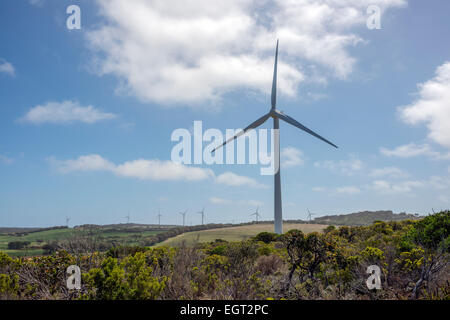 Ein Windpark in der Nähe der Küste Portland Victoria Australia Stockfoto