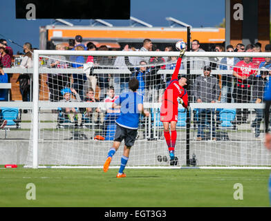 KORRIGIERTE Datum ** 28. Februar 2015: Los Angeles Galaxy Torhüter Brian Rowe (12) blockt den Schuß ab während der MLS Fußball-Spiel zwischen den San Jose Earthquakes und die Los Angeles Galaxy im Avaya-Stadion in San Jose, Kalifornien. Die Erdbeben führen LA 2: 1 in der zweiten Hälfte. Damon Tarver/Cal-Sport-Medien Stockfoto