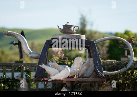 Teapotland, Owaka Highway, Owaka, South Otago, Südinsel, Neuseeland. Stockfoto