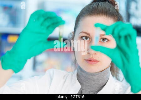 Junger Student medizinische / wissenschaftliche Forscherin / Arzt, Blick auf ein Reagenzglas der Flüssigkeit im Wissenschaftslabor Stockfoto