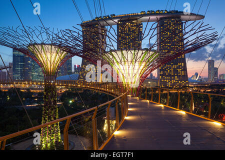 In der Nacht beleuchtet Supertrees in Gärten an der Bucht in Singapur. Stockfoto