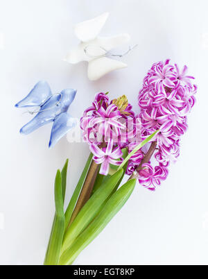 Hyazinthe violett Blumen und weiße und blaue Keramik Tauben auf weißem Hintergrund. Stockfoto