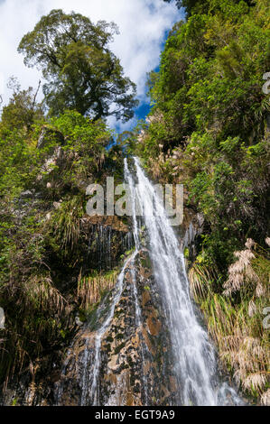 Diana fällt, Mount Aspiring Nationalpark über den Haast Pass, in der südlichen Alpen, West Coast, Südinsel, Neuseeland Stockfoto