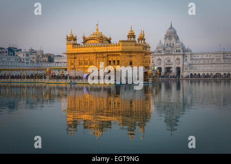 Der Goldene Tempel von Harmandir Sahib beleuchtet von der untergehenden Sonne in Amritsar, Indien Stockfoto