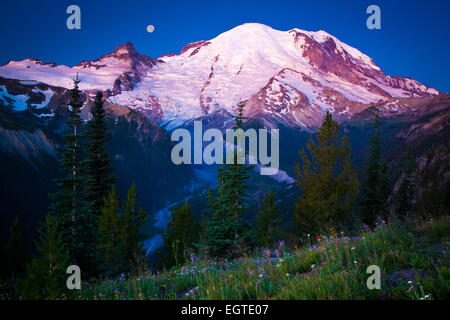Sonnenaufgang am Mount Rainier Sunrise Bereich mit den White River unter Stockfoto