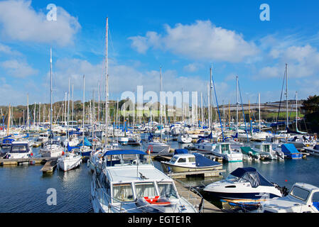 Marina, Falmouth, Cornwall, England UK Stockfoto