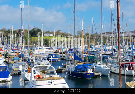 Marina, Falmouth, Cornwall, England UK Stockfoto