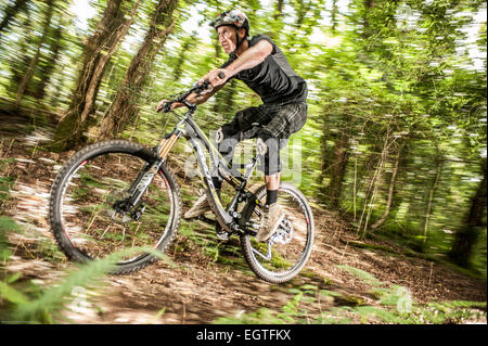 Mountain Bike jungen Wald Reitwege in Cornwall UK Stockfoto