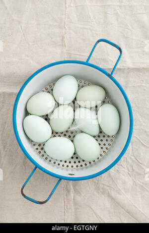 Leichte grüne Frischeier von Ostern Egger Huhn in eine Küche Sieb Stockfoto