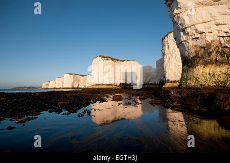 Old Harry Rocks, Purbeck Küste, Dorset Stockfoto