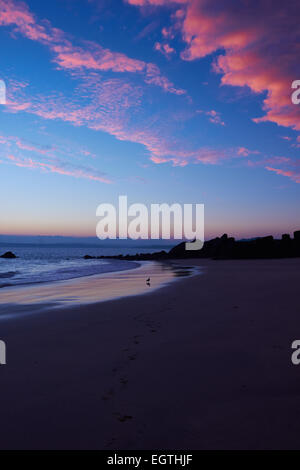 Rosa Wolken bei Sonnenaufgang über dem Porthgwidden Strand und die Bucht von St Ives Cornwall England Europa Stockfoto