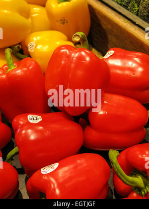 Rote und gelbe Paprika, Gemüseabteilung, den Frischmarkt in Tampa, Florida Stockfoto