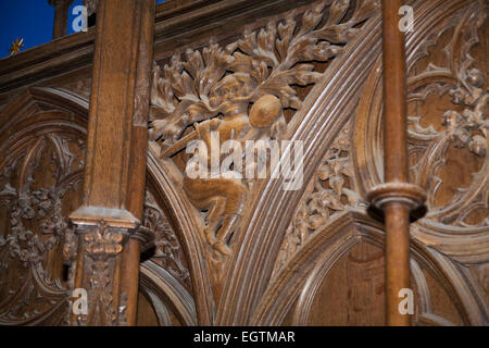 Grüner Mann, Schwert & Schild; Teil des Chors geschnitzter Eiche / hölzerne Stände / stall / Chor der Kathedrale von Winchester, Hampshire. VEREINIGTES KÖNIGREICH. Stockfoto