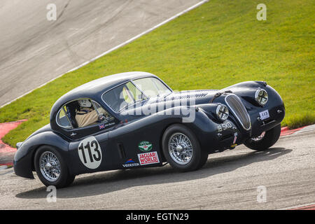 1952 Jaguar XK120 mit Fahrer John Burton, Oldtimer Sportwagen Festival 2014, Snetterton, Norfolk, Großbritannien. Stockfoto