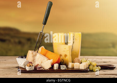 Verschiedene Arten von Käse serviert auf Holztisch mit Weinberg im Hintergrund Stockfoto