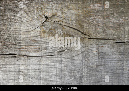 Holz und Knoten Textur-Hintergrund Stockfoto