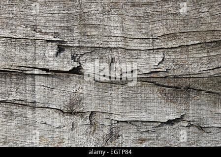 Holz und Knoten Textur-Hintergrund Stockfoto