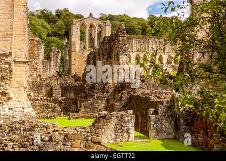 Ruinen von Rievaulx Abbey, North Yorkshire, England, Vereinigtes Königreich, Europa. Stockfoto