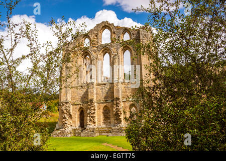 Ruinen von Rievaulx Abbey, North Yorkshire, England, Vereinigtes Königreich, Europa. Stockfoto