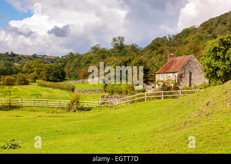 Rievaulx, North Yorkshire, England, Vereinigtes Königreich, Europa. Stockfoto