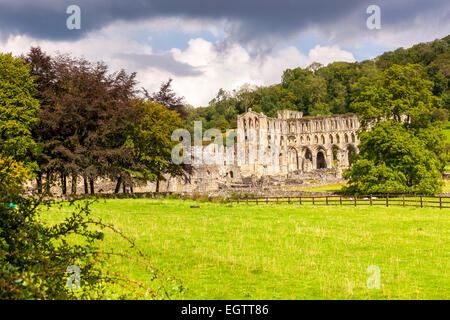 Ruinen von Rievaulx Abbey, North Yorkshire, England, Vereinigtes Königreich, Europa. Stockfoto