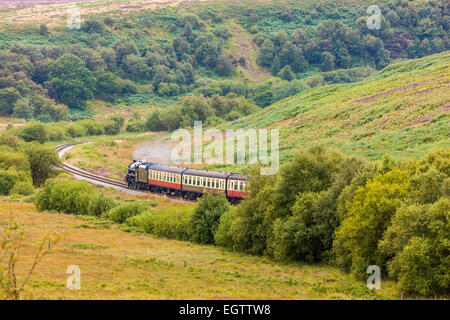 A Dampf Lok 45428 Eric Treacy auf der North Yorkshire Moors Railway durch Goathland Moor, Reisen Stockfoto