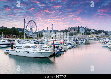 Stadt und Hafen, Torquay, Devon, England, Vereinigtes Königreich, Europa. Stockfoto