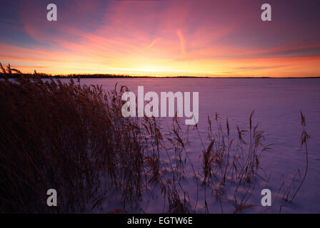 Gefrorene und frostig Saadjärv See im Winter bei Sonnenuntergang, Vooremaa Landschaftsschutzgebiet, Estland. Stockfoto