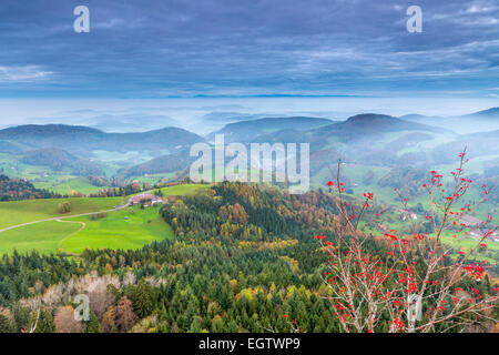 Blick vom Belchenflue an der Grenze des Kantons Basel-Landschaft und Kanton Solothurn im Jura, Schweiz. Stockfoto