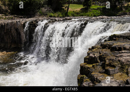 Hururu fällt in der Nähe von Waitangi in Northland, Neuseeland. Stockfoto