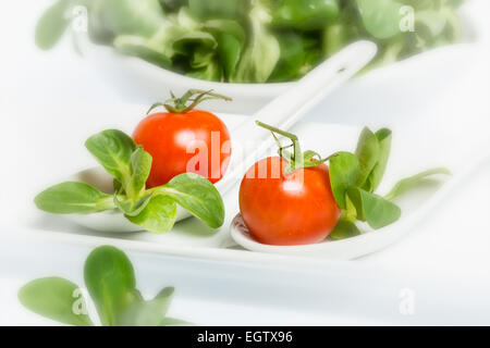 Valerianella Locusta, Feldsalat, Kirschtomaten, Feldsalat auf weißem Hintergrund Stockfoto