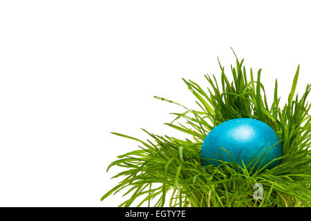 Blaue Osterei in dem grünen Rasen in die niedrige Rechte Ecke des Bildes. Isoliert auf weißem Hintergrund. Freiraum zur Texteingabe Stockfoto