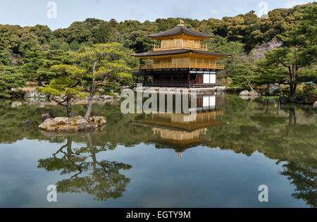 Die 14c Gärten des Kinkaku-JI Tempels (der Goldene Pavillon), Kyoto, Japan. Das ursprüngliche Tempelgebäude wurde 1950 niedergebrannt und 1955 wieder aufgebaut Stockfoto