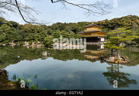 Die 14c Gärten des Kinkaku-JI Tempels (der Goldene Pavillon), Kyoto, Japan. Das ursprüngliche Tempelgebäude wurde 1950 niedergebrannt und 1955 wieder aufgebaut Stockfoto