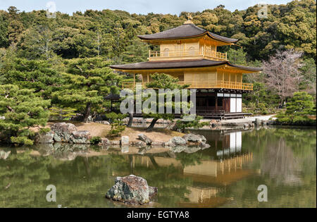 Die 14c Gärten des Kinkaku-JI Tempels (der Goldene Pavillon), Kyoto, Japan. Das ursprüngliche Tempelgebäude wurde 1950 niedergebrannt und 1955 wieder aufgebaut Stockfoto