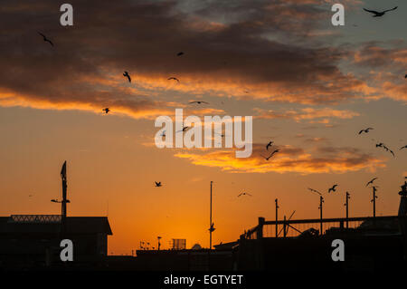 Hastings, East Sussex, Großbritannien. März 2015. Wetter in Großbritannien: Sonnenuntergang über der Fischfangflotte Der Altstadt Stockfoto