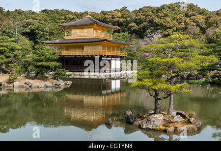 Die 14c Gärten des Kinkaku-JI Tempels (der Goldene Pavillon), Kyoto, Japan. Das ursprüngliche Tempelgebäude wurde 1950 niedergebrannt und 1955 wieder aufgebaut Stockfoto