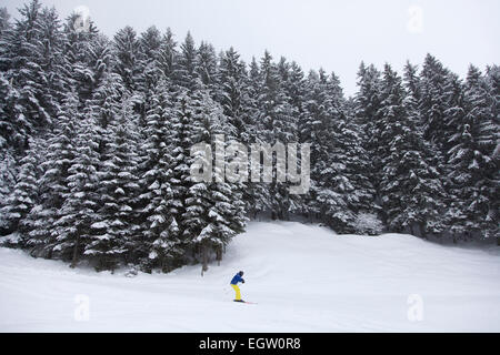 Schnee-Szene der Bäume in den Bergen mit Schnee bedeckt Stockfoto