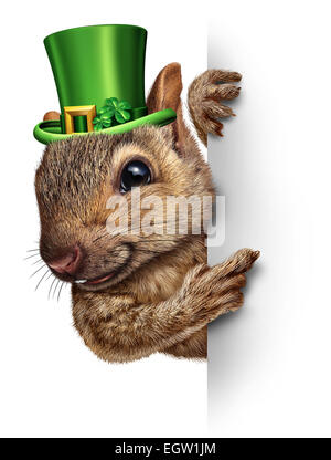 Frühling Eichhörnchen Banner Konzept als niedlich glücklich Tierwelt eine Glück Grün tragen saint Patricks Tag Hut mit vier Kleeblätter mit einem leeren Schild als festliche saisonale Symbol. Stockfoto