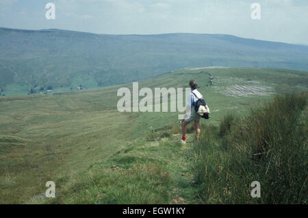 Walker auf Wildschwein fiel: Reitweg von hohen Delphinstry, Mallerstang Cumbria England UK Stockfoto