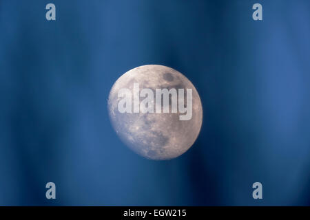 London, UK. 2. März 2015. Wetter: 91 % beleuchtet waxing Crescent moon durch Äste klar Twilight Abendhimmel gesehen. Bildnachweis: Malcolm Park Leitartikel/Alamy Live-Nachrichten Stockfoto