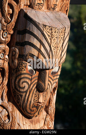 Maori Holzschnitzerei, Te Puia Marae, Whakarewarewa, Rotorua, Bay of Plenty, Nordinsel, Neuseeland. Stockfoto