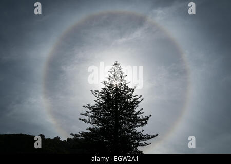 Ein 22° Halo, Touranga, Bay of Plenty, Nordinsel, Neuseeland. Stockfoto