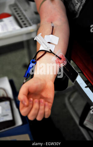 Detail mit Blut Plastiktüte während einer Blutspende Stockfoto