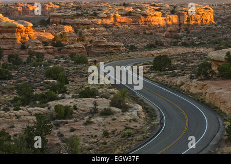 S-Curved Road im Needles District des Canyonlands National Park, Utah Stockfoto