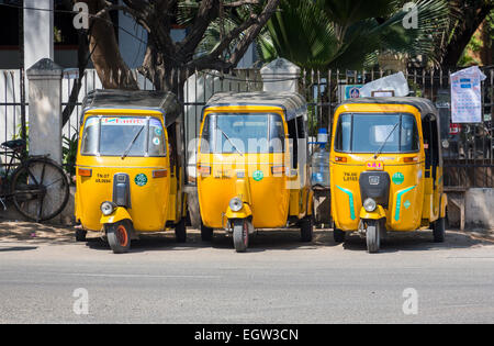 Reihe von drei gelben Tuk-Tuks für Verleih, geparkt in einer Straße in Chennai, Tamil Nadu, Südindien Stockfoto