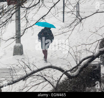 Ein weiteres Wochenende Sturm trifft auf Sonntag, 1. März 2015 fallen fünf Zoll Schnee im Central Park New York. Der Sturm wird voraussichtlich Eis auf den Straßen machen den Montagmorgen Pendler gefährliche verlassen.  (© Richard B. Levine) Stockfoto